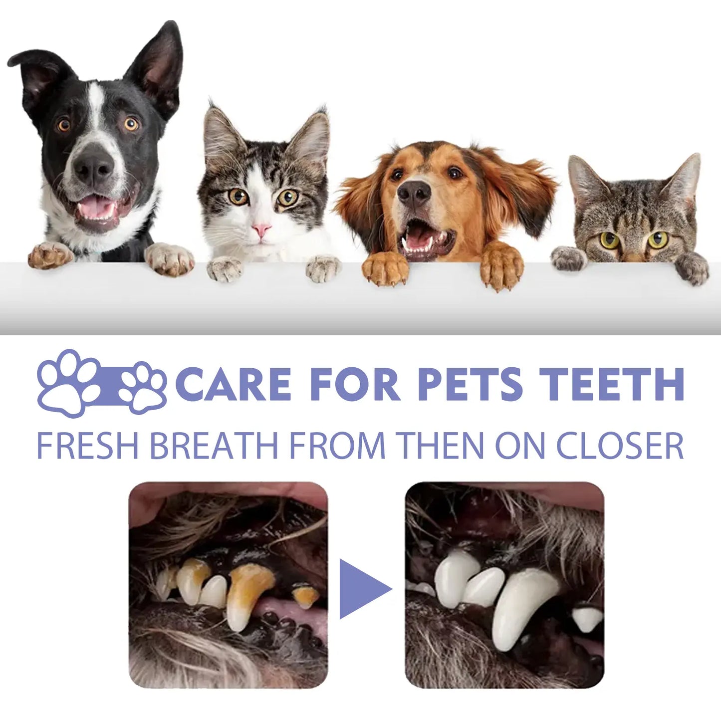 Lunaraé™ 🍃No-Brushing Oral Care Spray for Dogs & Cats