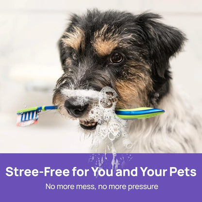Lunaraé™ 🍃No-Brushing Oral Care Spray for Dogs & Cats